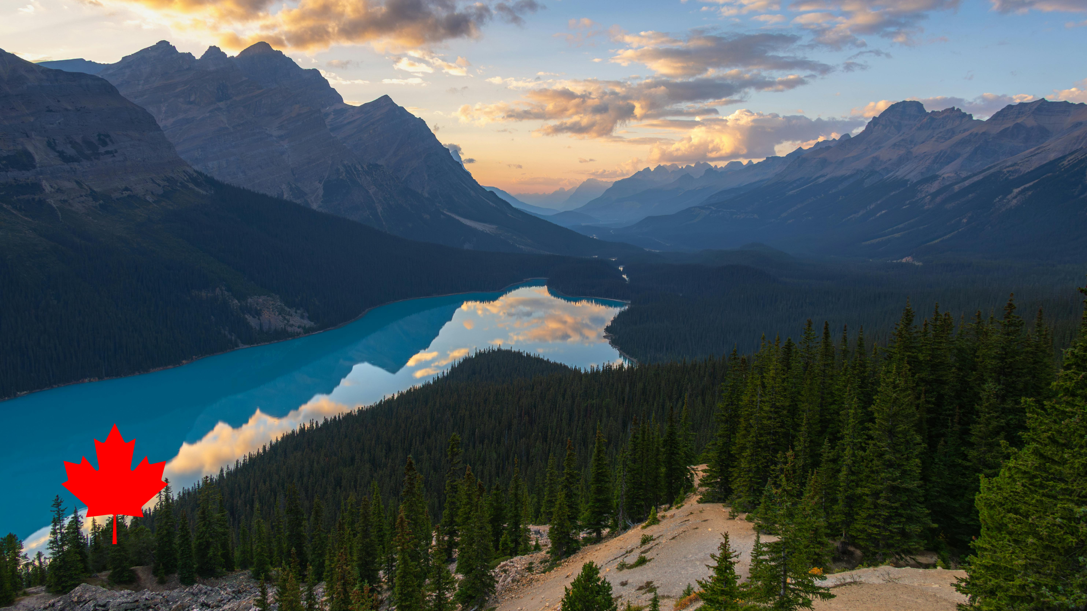 2026: Canadian immigration is gaining momentum again — and those who plan now will be ahead